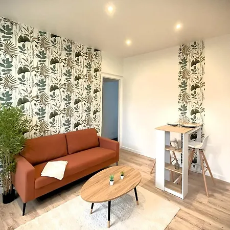 L'albatros-appartement Lumineux Proche Centre Et Gare *
